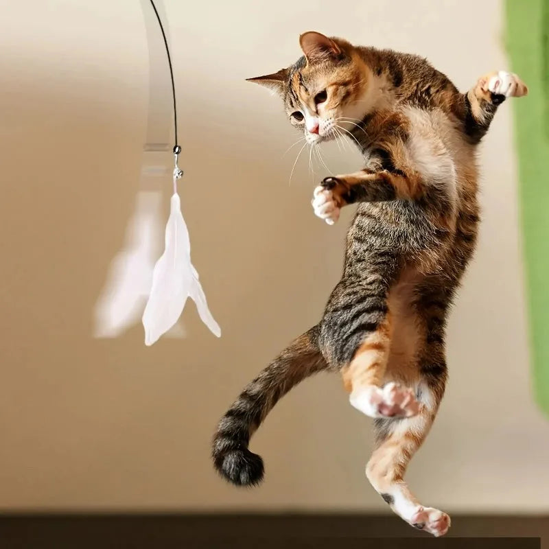 Cat Teaser Wand – Interactive Bell & Feather Toy with Suction Cup
