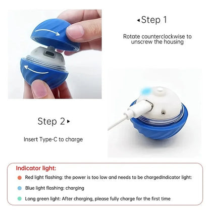 Dog Leash – Reflective Nylon Walking Lead for Small, Medium & Large Dogs