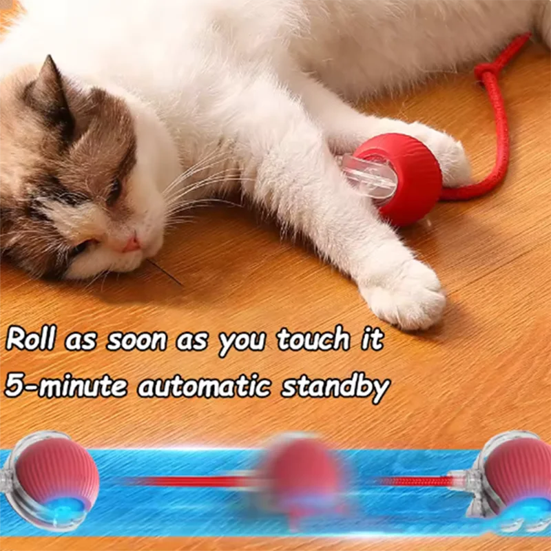 Automatic Cat Ball Toy – Self-Moving Teaser for Cats
