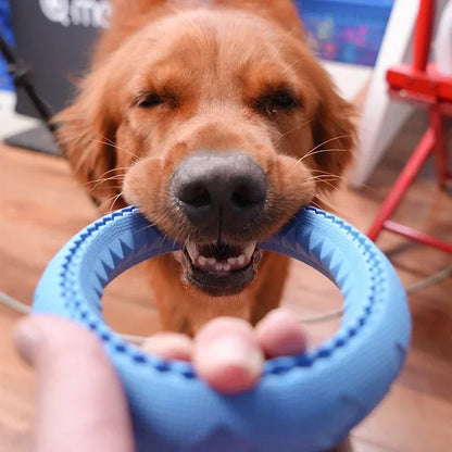 Dog Ring Toy – Durable Chew & Fetch Toy for All Dog Sizes