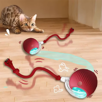 Automatic Cat Ball Toy – Self-Moving Teaser for Cats