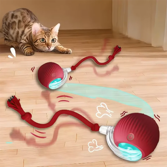 Automatic Cat Ball Toy – Self-Moving Teaser for Cats