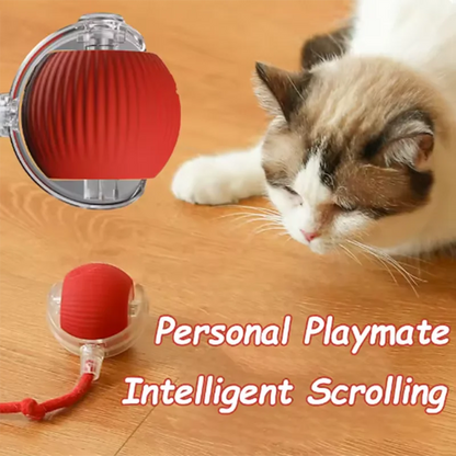 Automatic Cat Ball Toy – Self-Moving Teaser for Cats