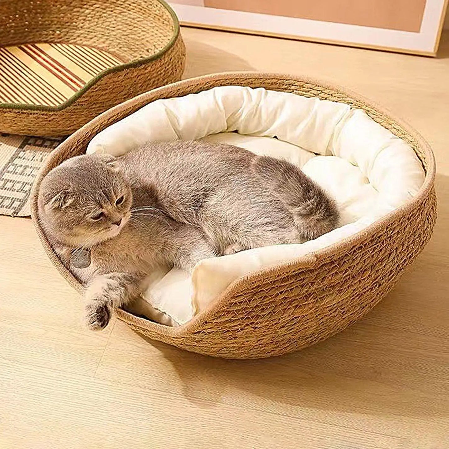 Round Cat Basket Bed – Cotton Rope with Pillow for All Seasons