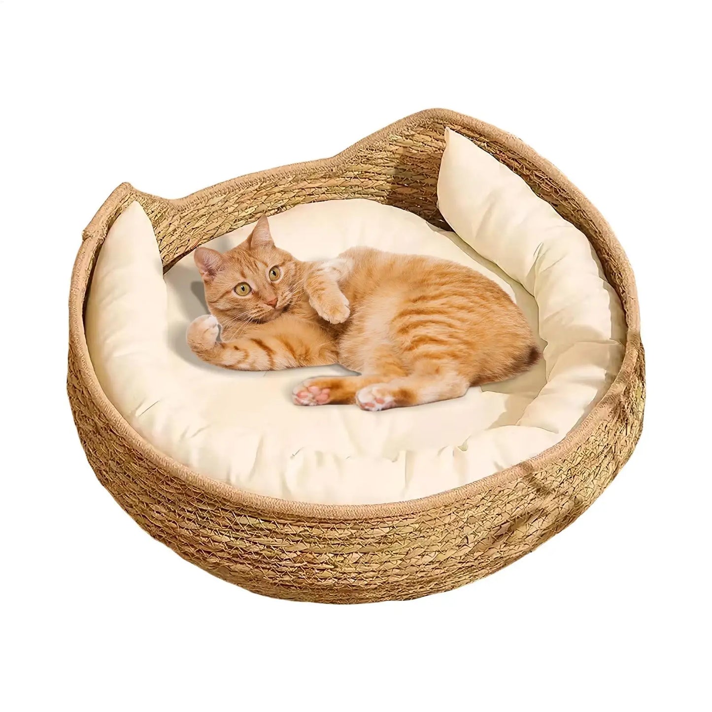 Round Cat Basket Bed – Cotton Rope with Pillow for All Seasons